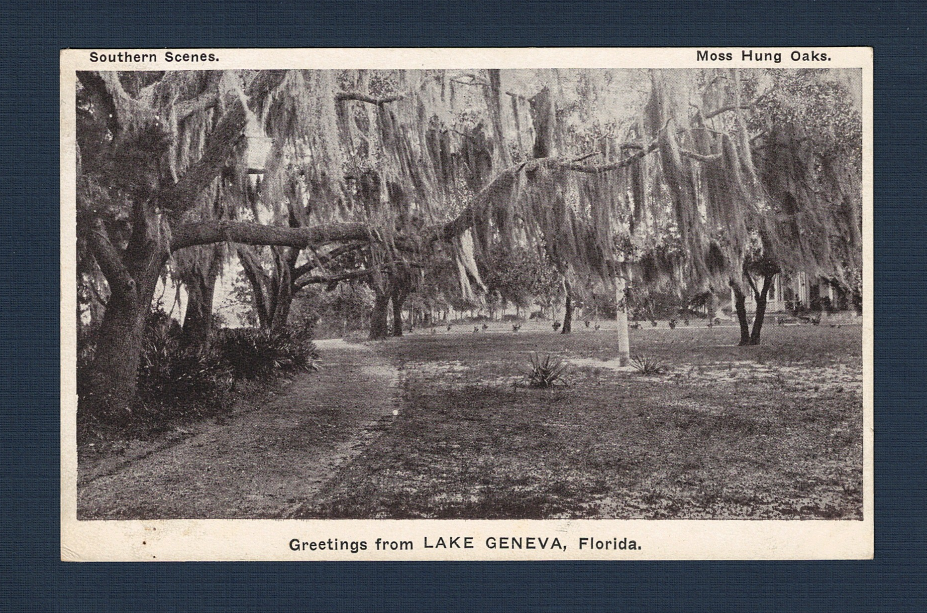 1900XXXX Geneva 06 - Front